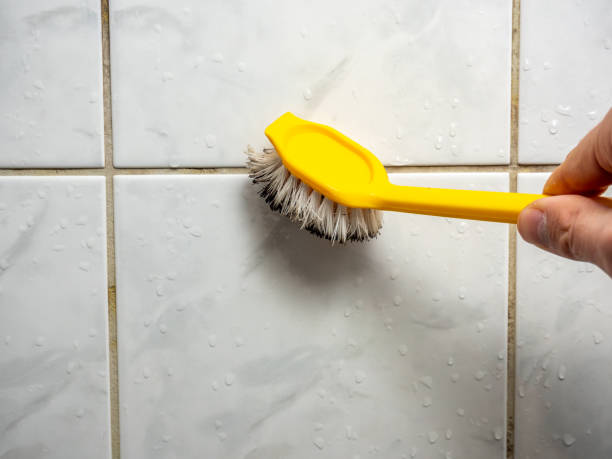 Best Affordable Mold Removal  in Unicoi, TN