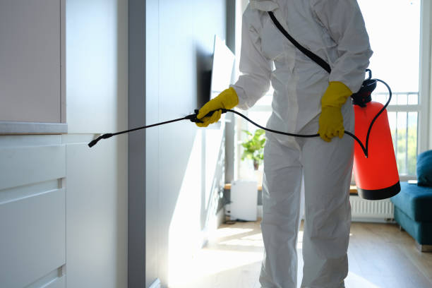 Professional Mold Removal in Unicoi, TN