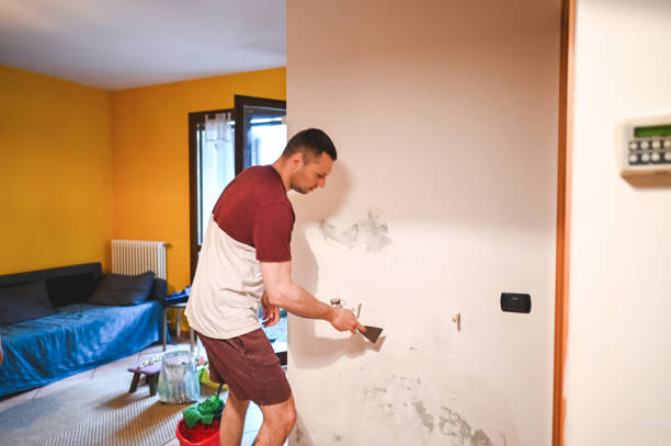 Mold Removal and Inspection in Unicoi, TN
